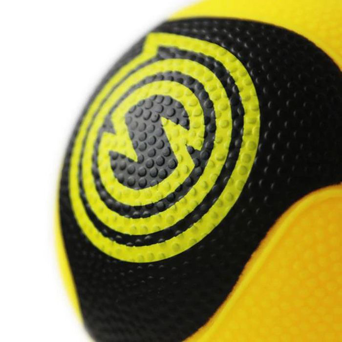 Spikeball Pro Bälle – 2 Stuck