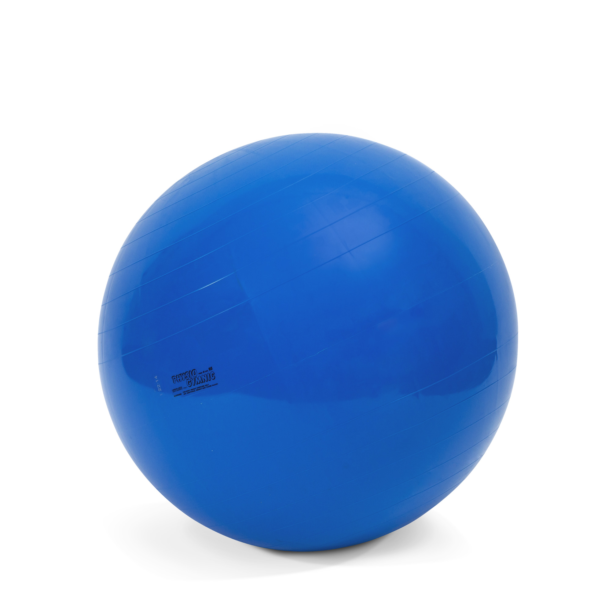 Physio-Gymnic-Ball, ø 95 cm